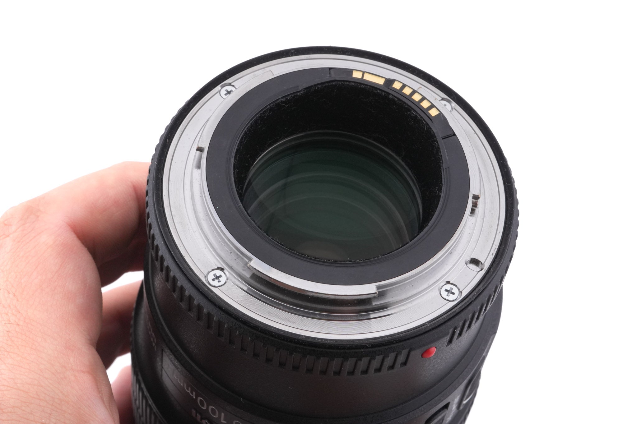 Canon 100mm f2.8 L Macro IS USM