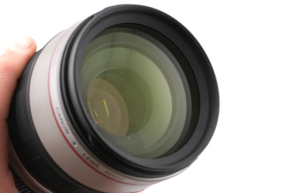 Canon 100-400mm f4.5-5.6 L IS USM