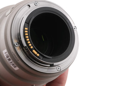 Canon 100-400mm f4.5-5.6 L IS USM