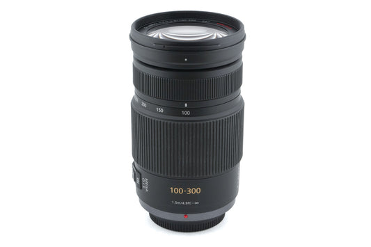 Panasonic 100-300mm f4-5.6 Lumix G Vario MEGA O.I.S