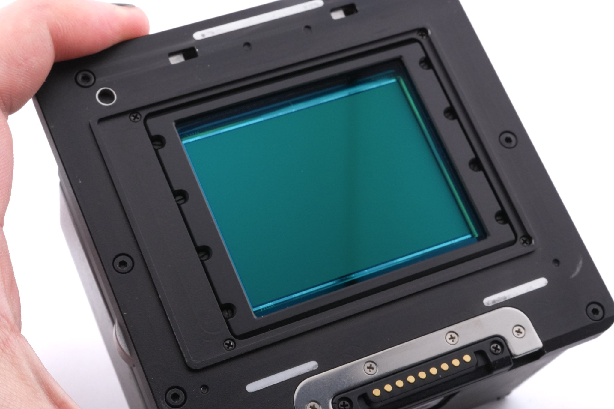 Contax 645 + P25 Digital Back + 80mm f2 Planar T* + MF-1 AE Prism Finder