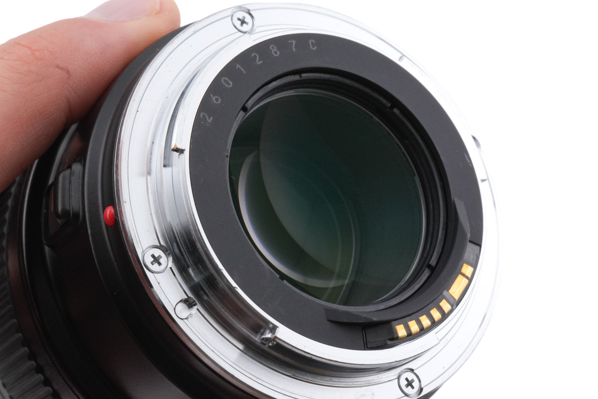 Canon 100mm f2.8 Macro