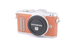 Olympus PEN E-PL8 + FL-LM1 Flash