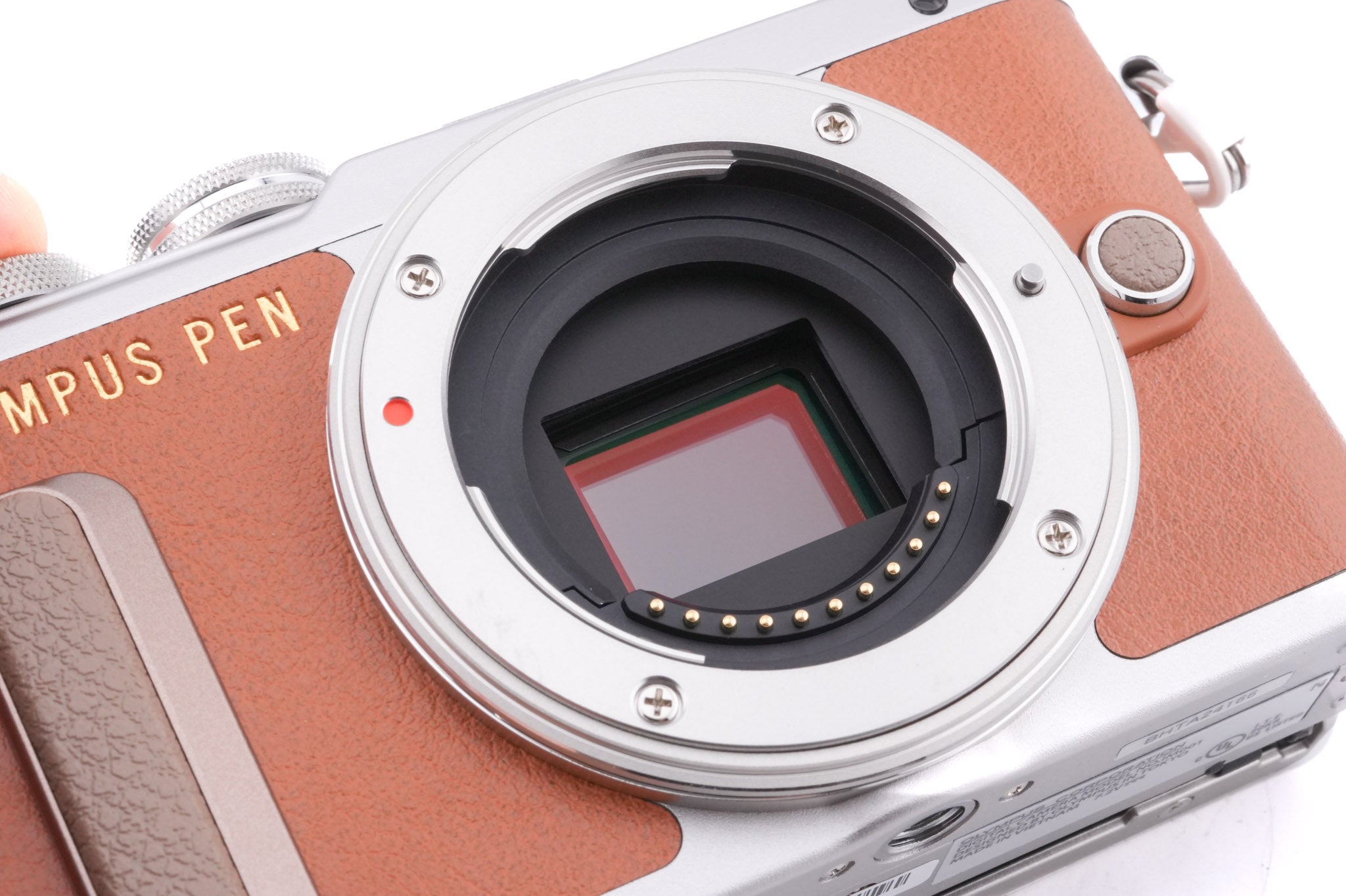 Olympus PEN E-PL8 + FL-LM1 Flash
