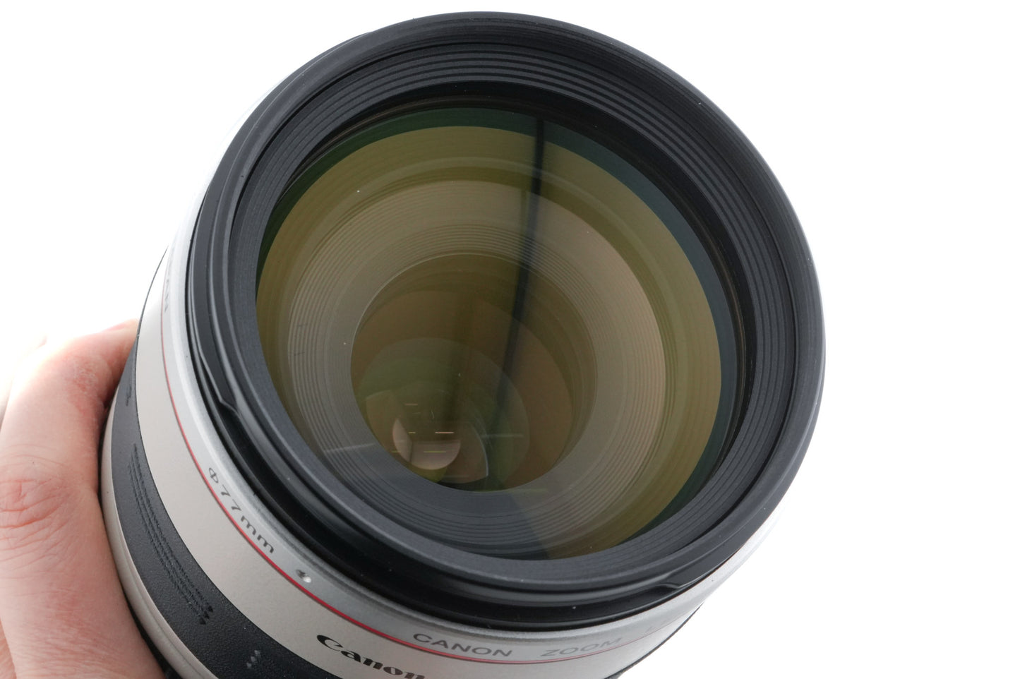 Canon 100-400mm f4.5-5.6 L IS USM