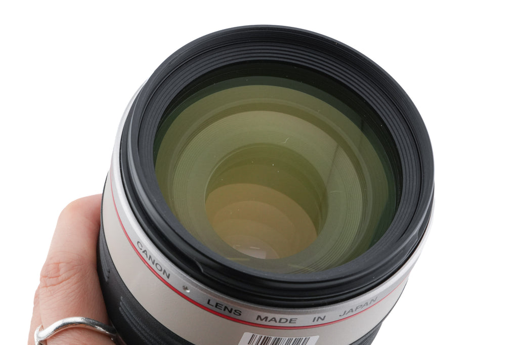 Canon 100-400mm f4.5-5.6 L IS USM