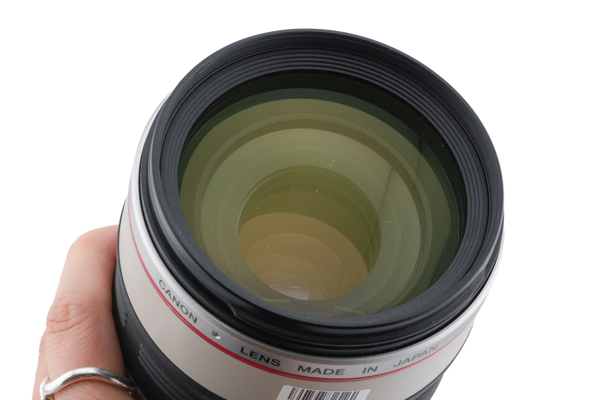 Canon 100-400mm f4.5-5.6 L IS USM