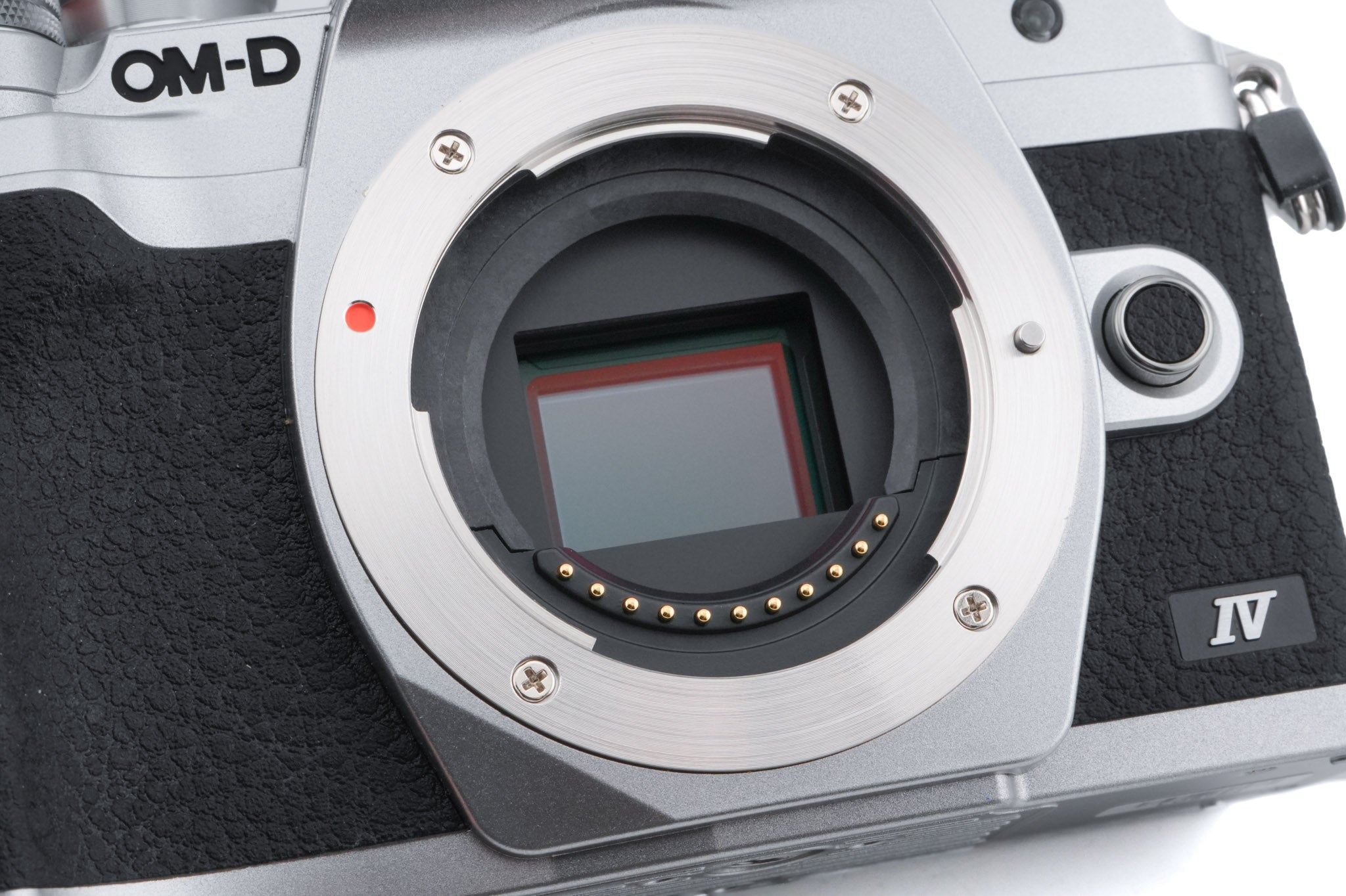 Olympus OM-D E-M10 Mark IV