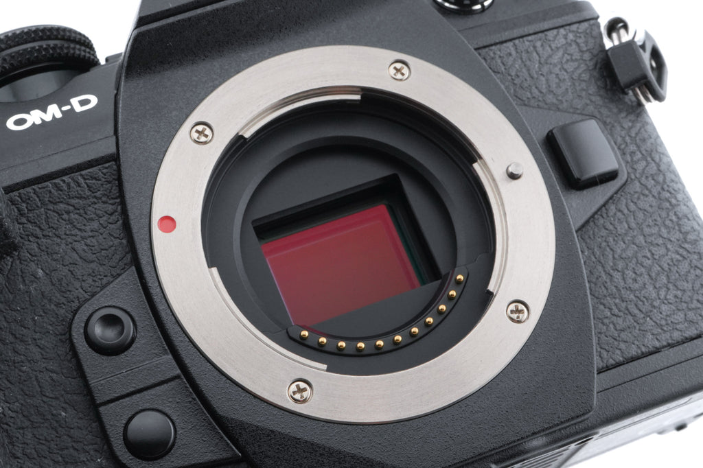 Olympus OM-D E-M1 Mark II