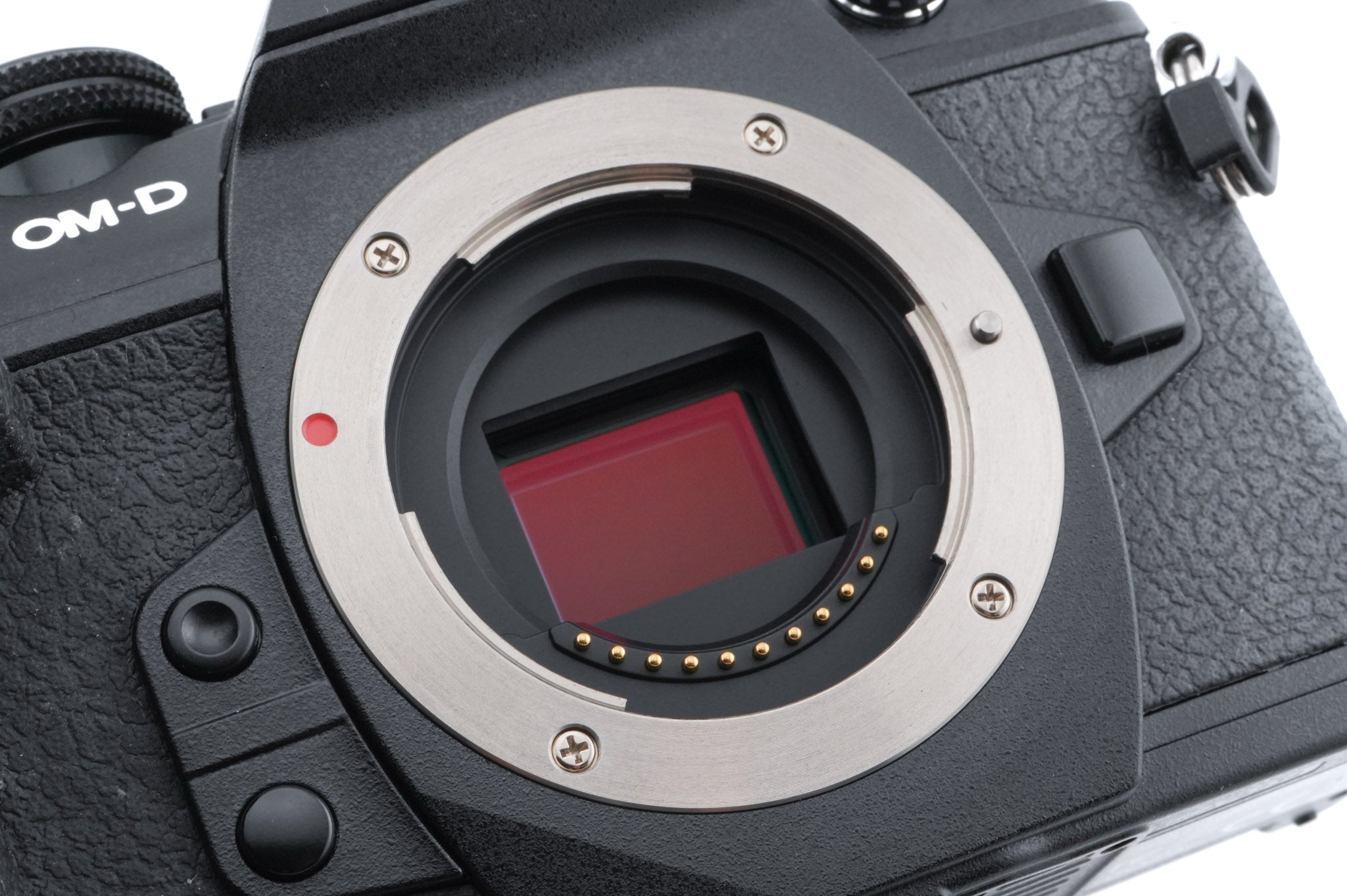 Olympus OM-D E-M1 Mark II
