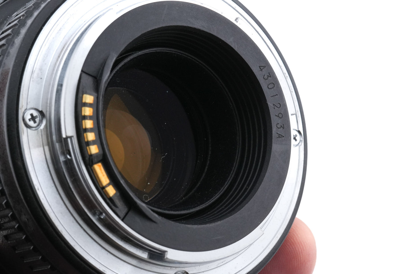 Canon 100mm f2.8 Macro USM