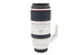 Canon 100-500mm f4.5-7.1 L IS USM