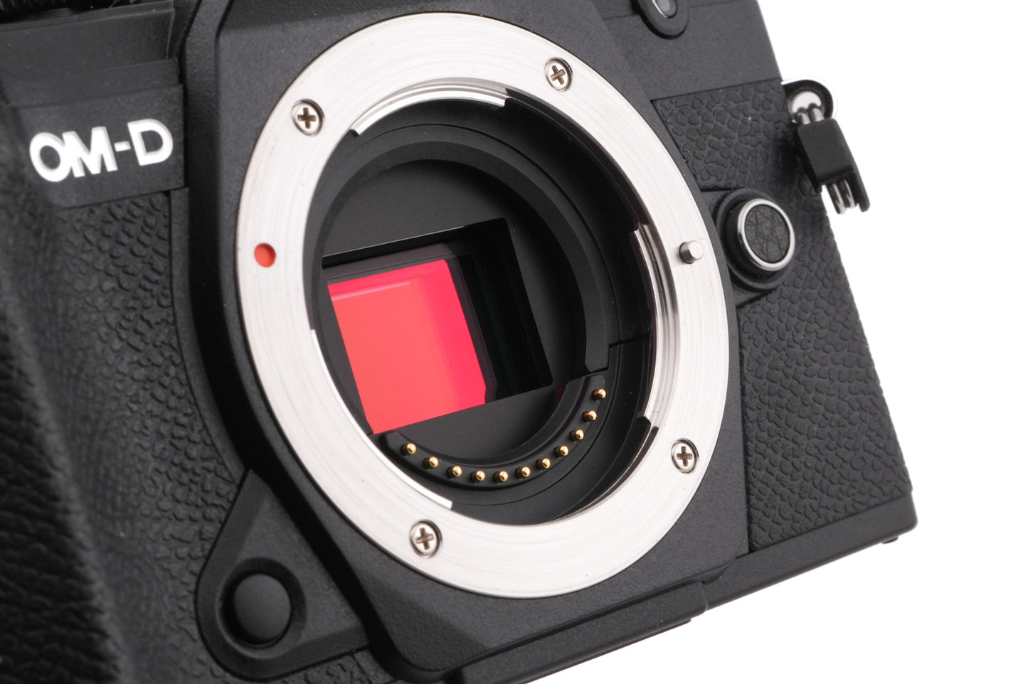 Olympus OM-D E-M5 Mark III + FL-LM3 Flash