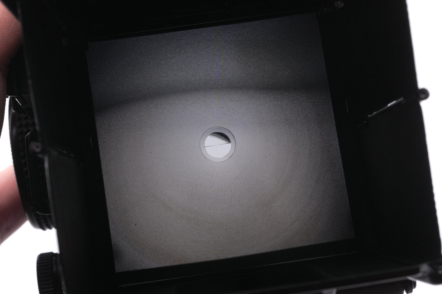 Seagull B.I.G. Twin 4