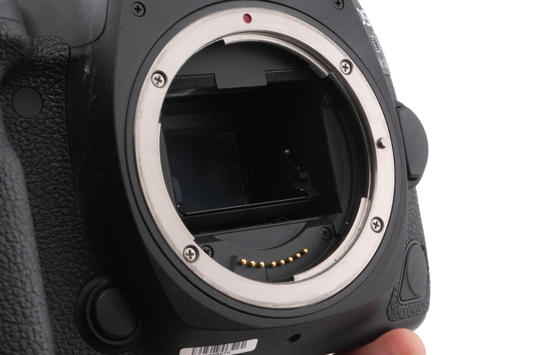 Canon EOS 5D Mark IV