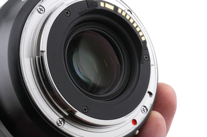 Sigma 24-105mm f4 DG OS HSM Art (013)