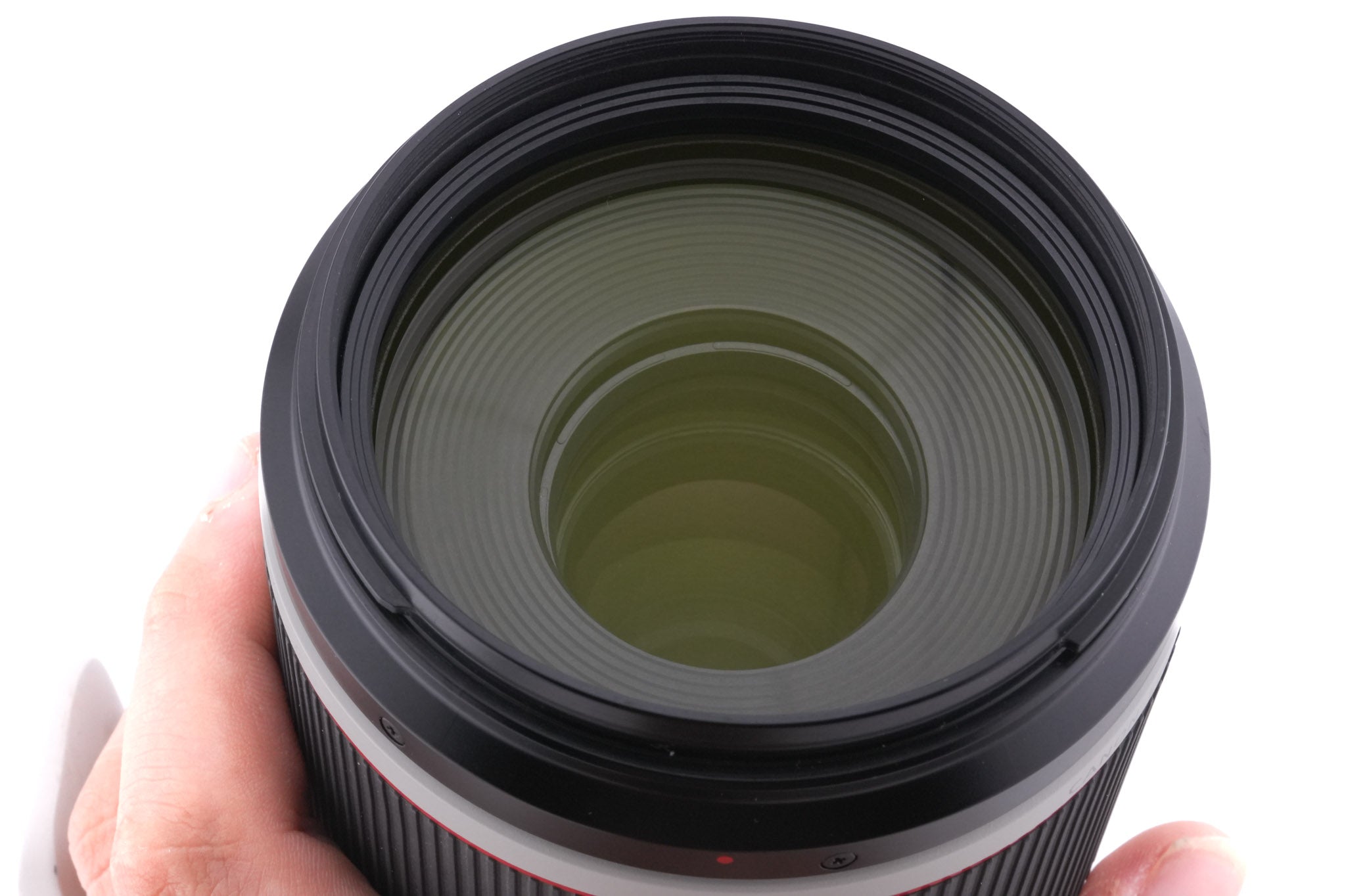 Canon 100-500mm f4.5-7.1 L IS USM