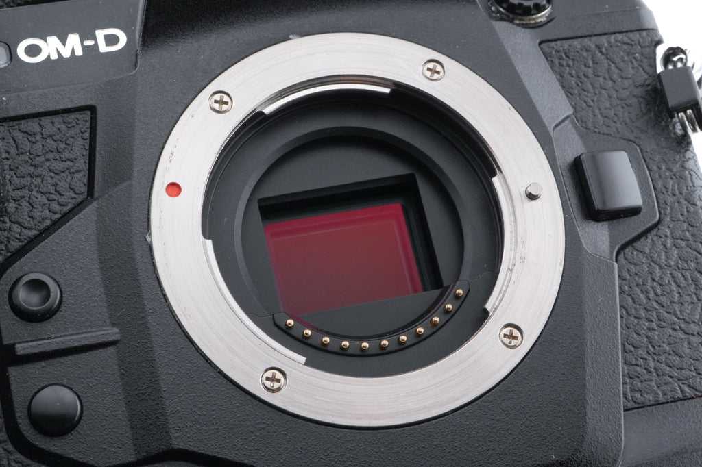 Olympus OM-D E-M1X