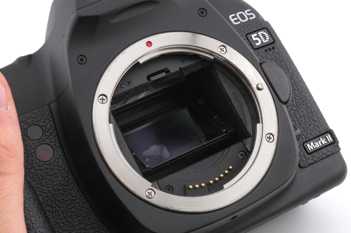 Canon EOS 5D Mark II