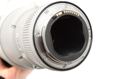 Canon 500mm f4 L IS II USM