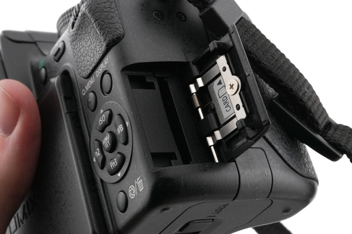Panasonic Lumix DMC-GH2