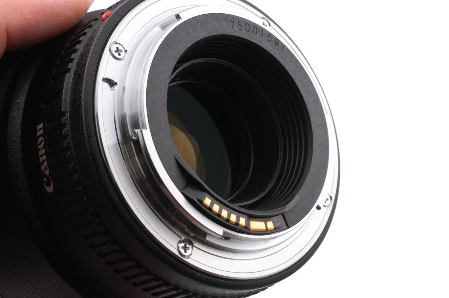 Canon 100mm f2.8 Macro USM