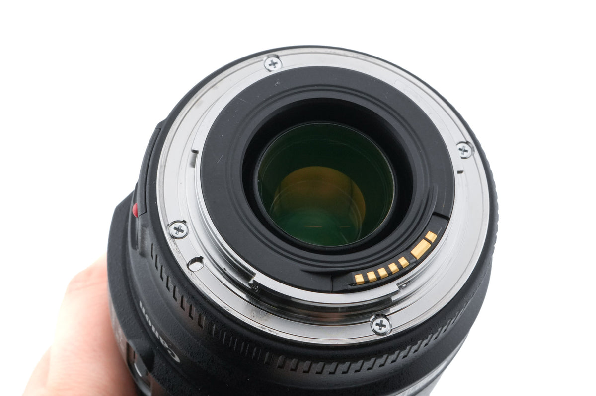 Canon 70-300mm f4-5.6 IS USM