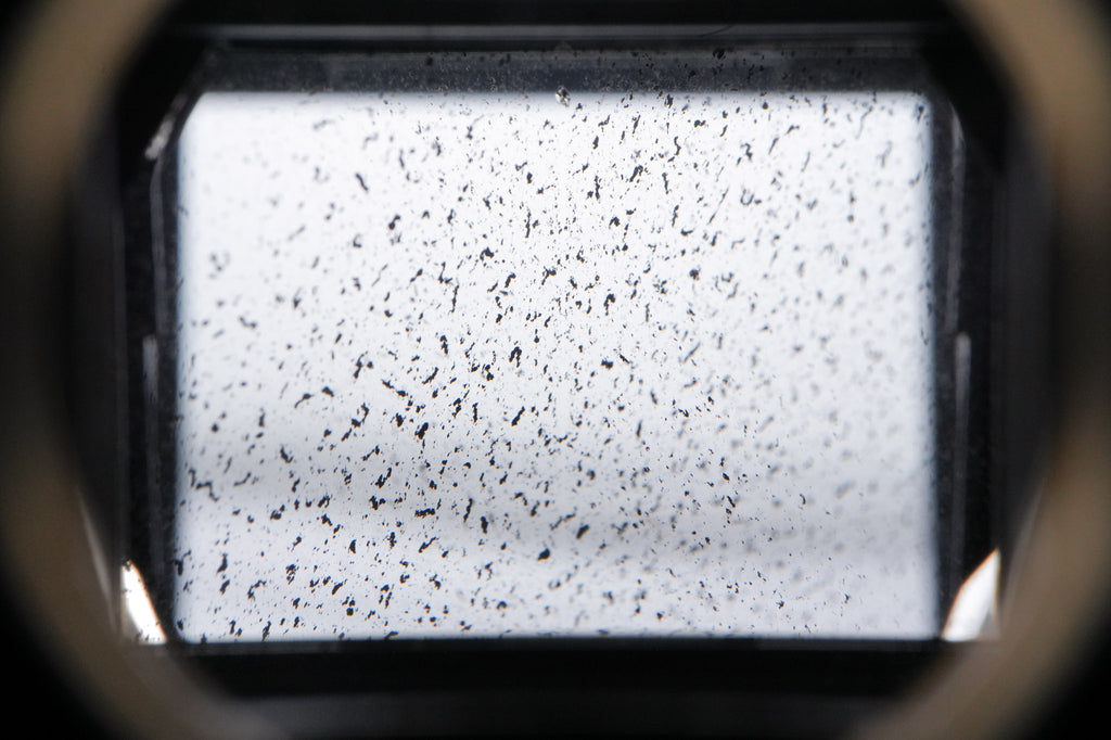 Zenza Bronica AE-III Prism Finder E