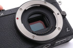 Panasonic Lumix DMC-GM1