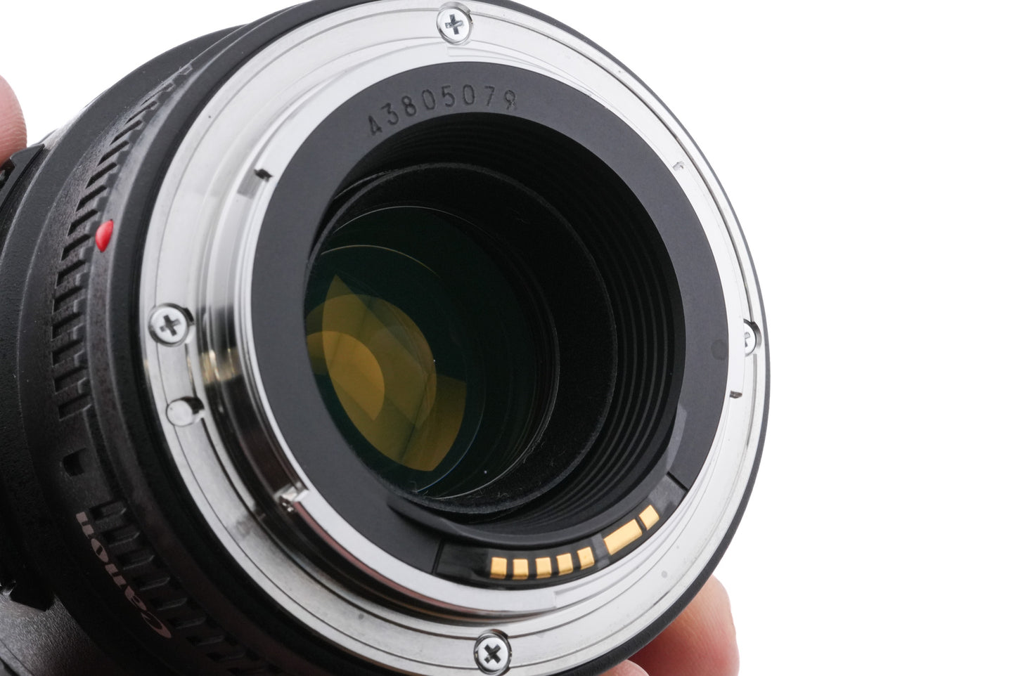 Canon 100mm f2.8 Macro USM