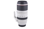 Canon 100-500mm f4.5-7.1 L IS USM