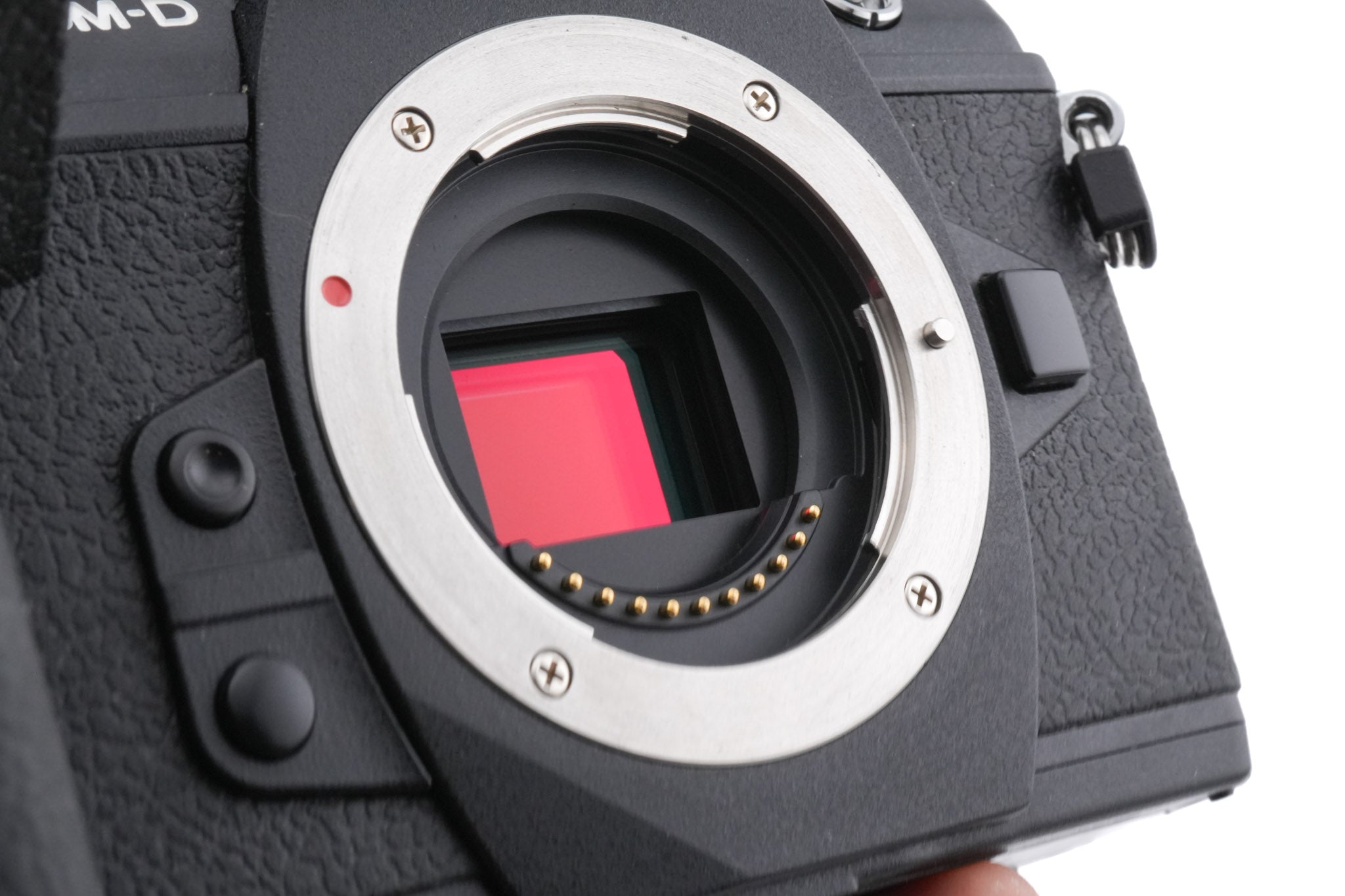 Olympus OM-D E-M1 Mark II