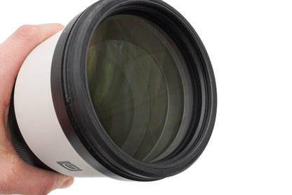 Sony 200-600mm f5.6-6.3 G OSS (SEL200600G)