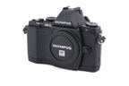 Olympus OM-D E-M5 + FL-LM2 Flash