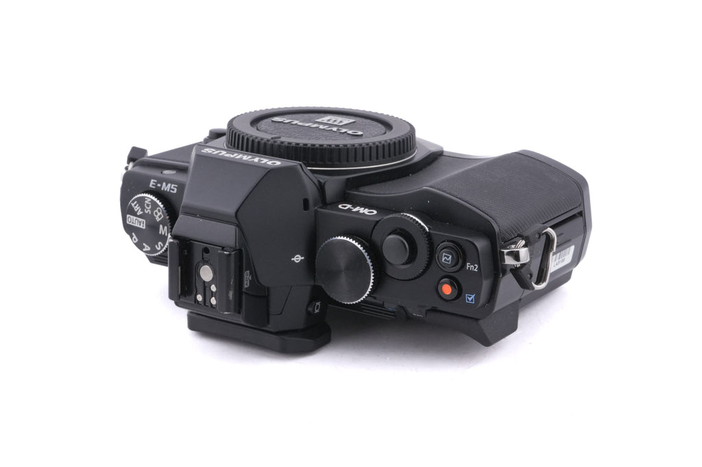Olympus OM-D E-M5 + FL-LM2 Flash