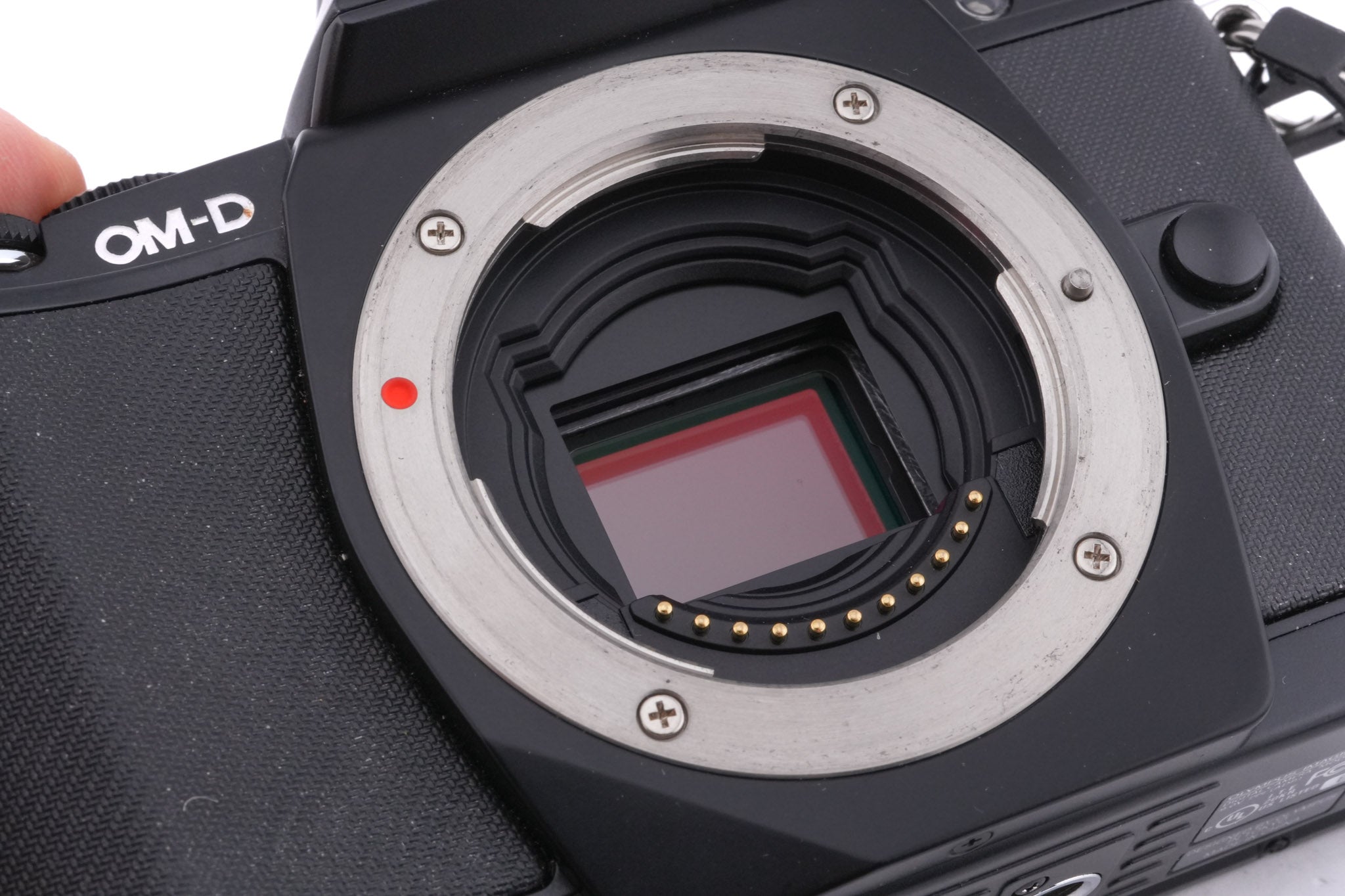 Olympus OM-D E-M5 + FL-LM2 Flash