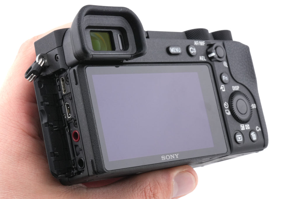 Sony A6600