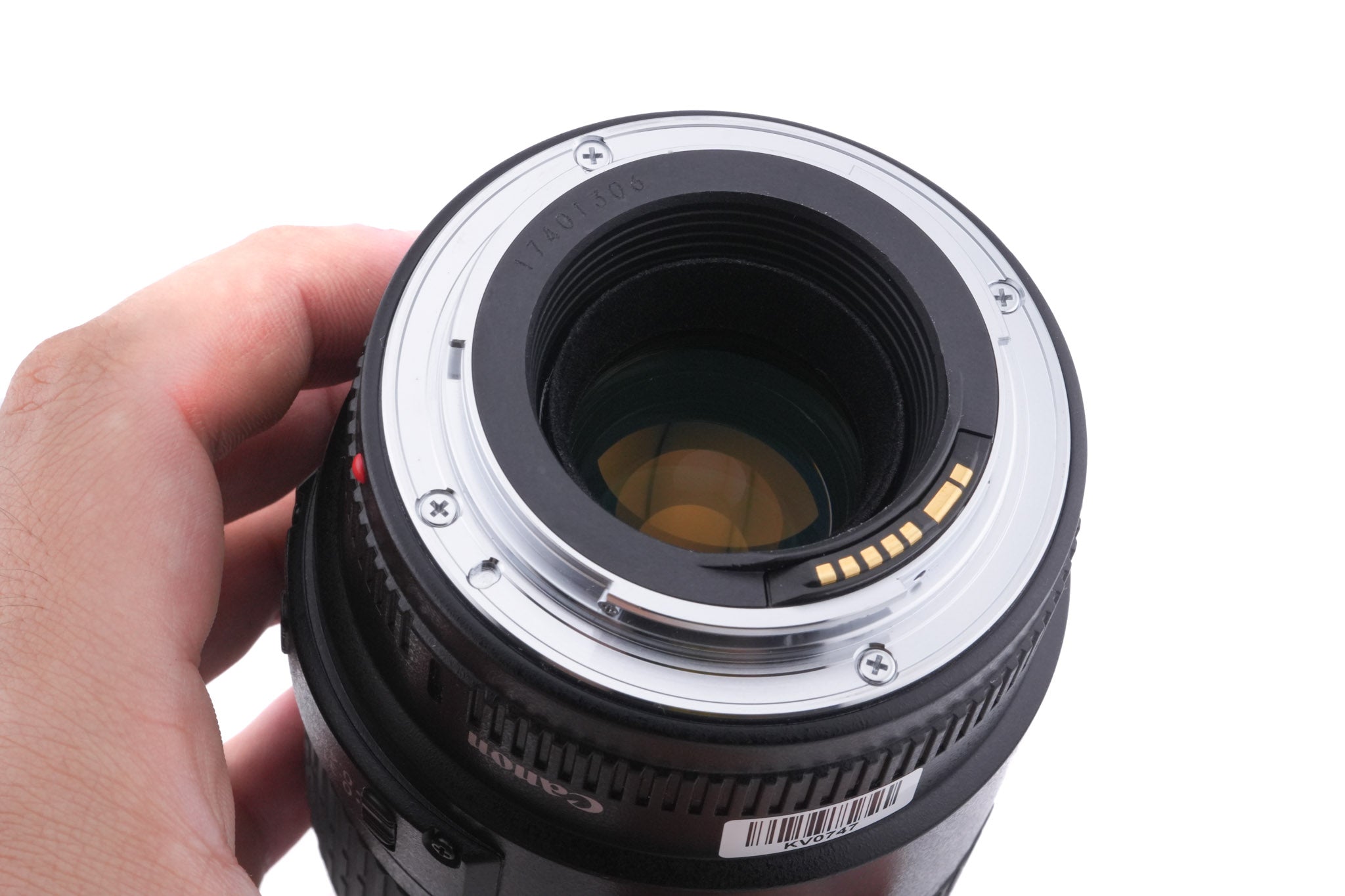 Canon 100mm f2.8 Macro USM