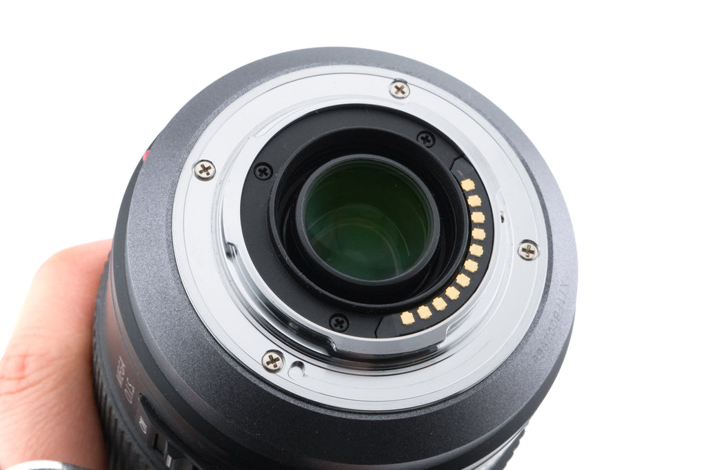 Panasonic 100-300mm f4-5.6 Lumix G Vario Mega O.I.S. (H-FS100300)