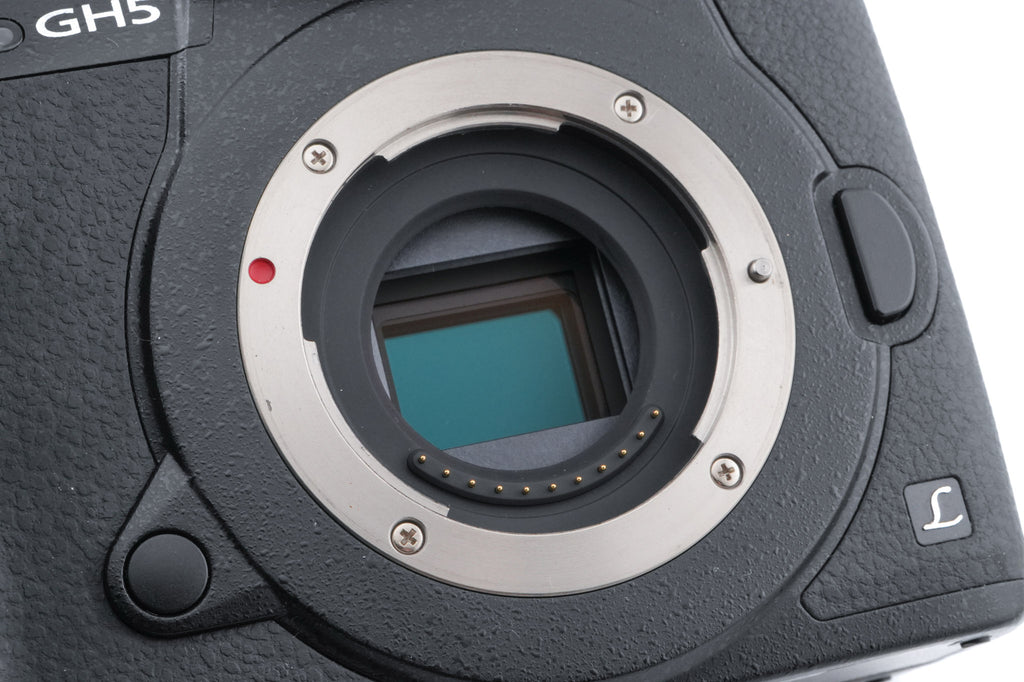 Panasonic Lumix DC-GH5