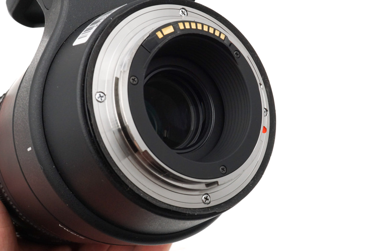 Sigma 150-600mm f5-6.3 DG OS HSM Contemporary (015)