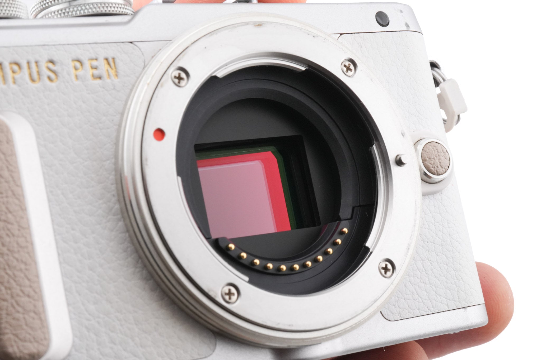 Olympus PEN E-PL8