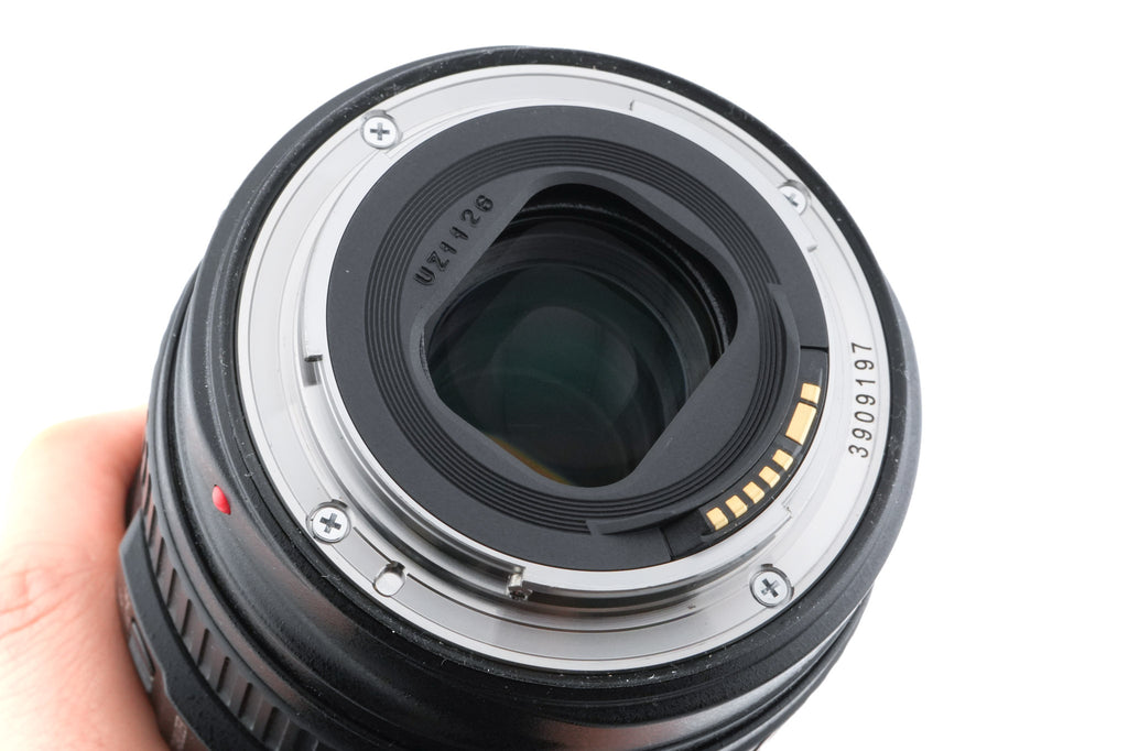 Canon 24-105mm f4 L IS USM