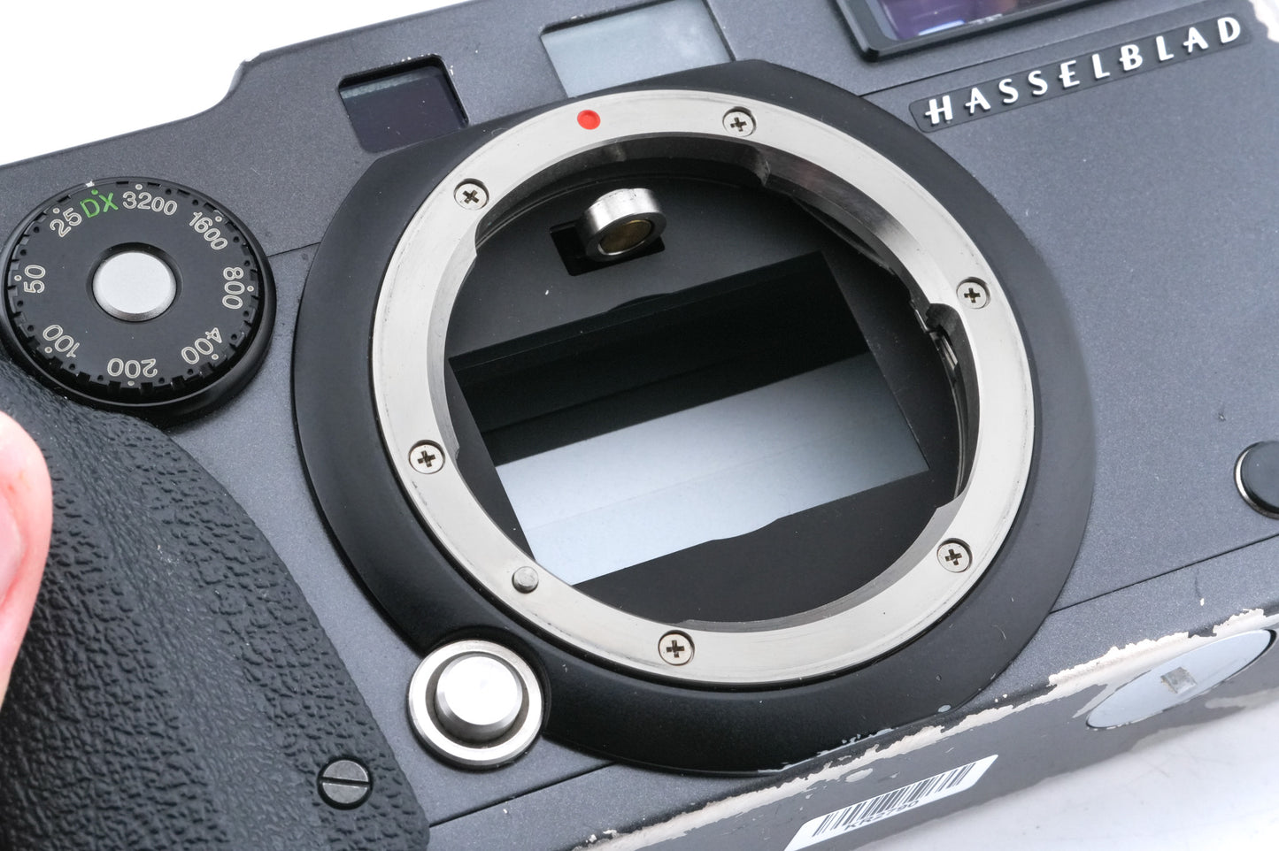 Hasselblad XPan (3014010) + 45mm f4 (3024015)