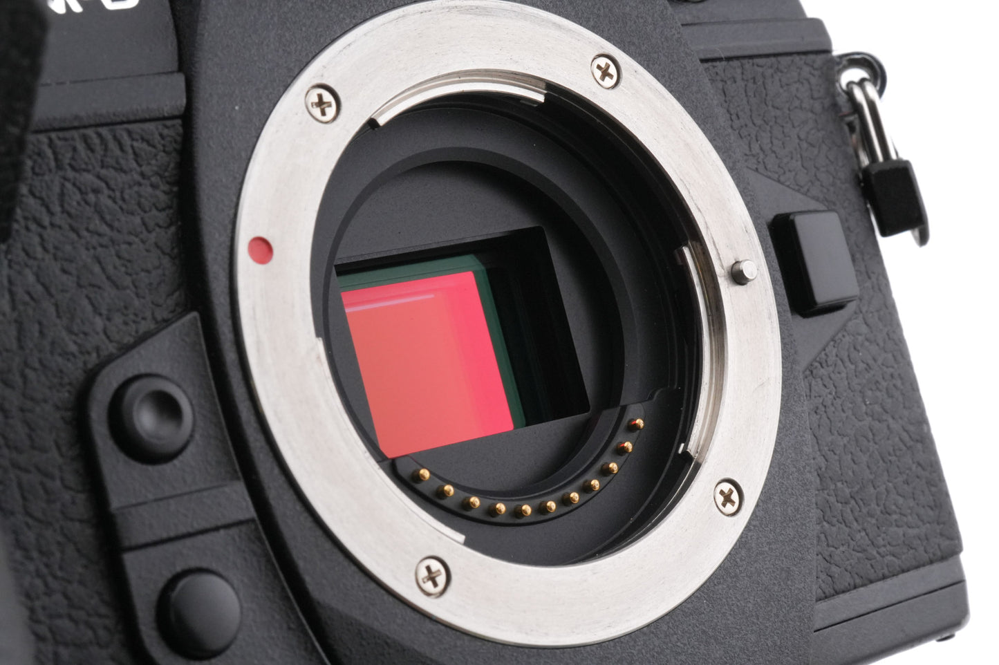 Olympus OM-D E-M1 Mark II