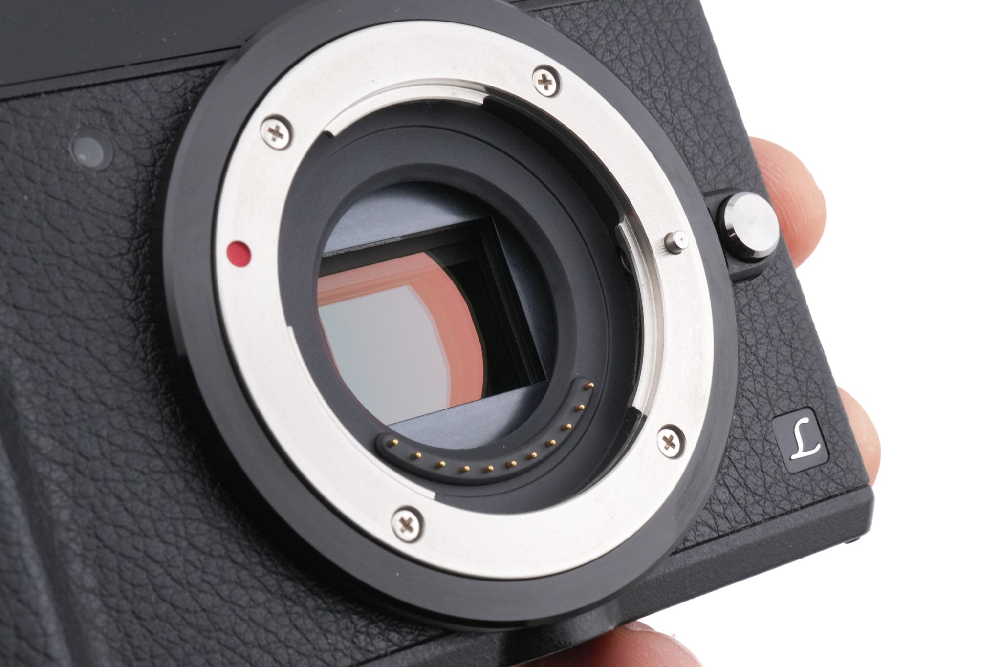 Panasonic Lumix DMC-GX80