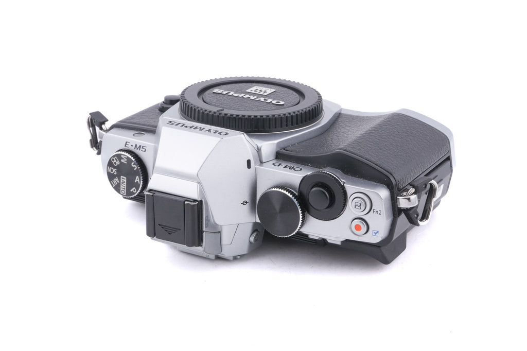 Olympus OM-D E-M5 + FL-LM2 Flash