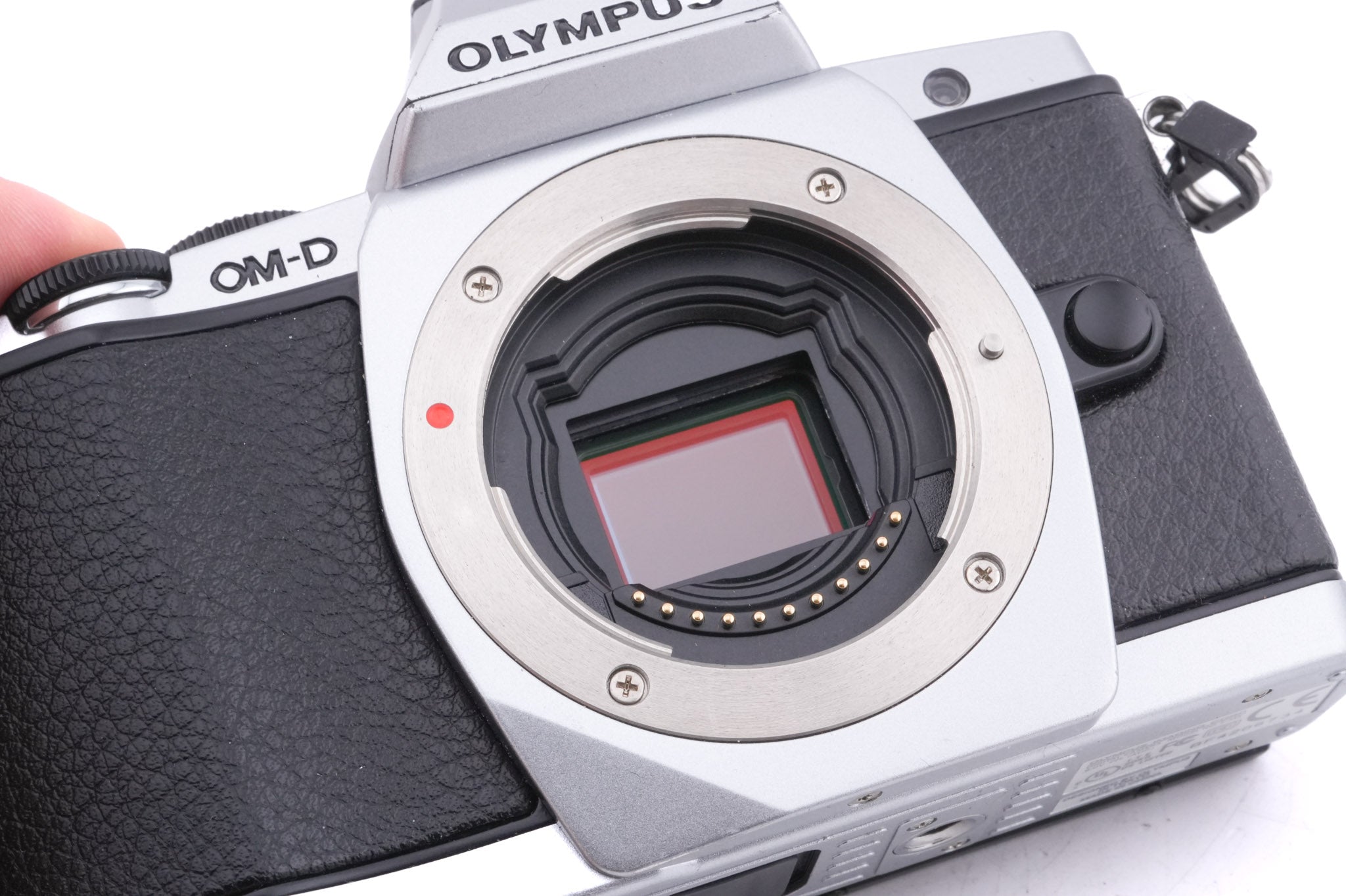 Olympus OM-D E-M5 + FL-LM2 Flash