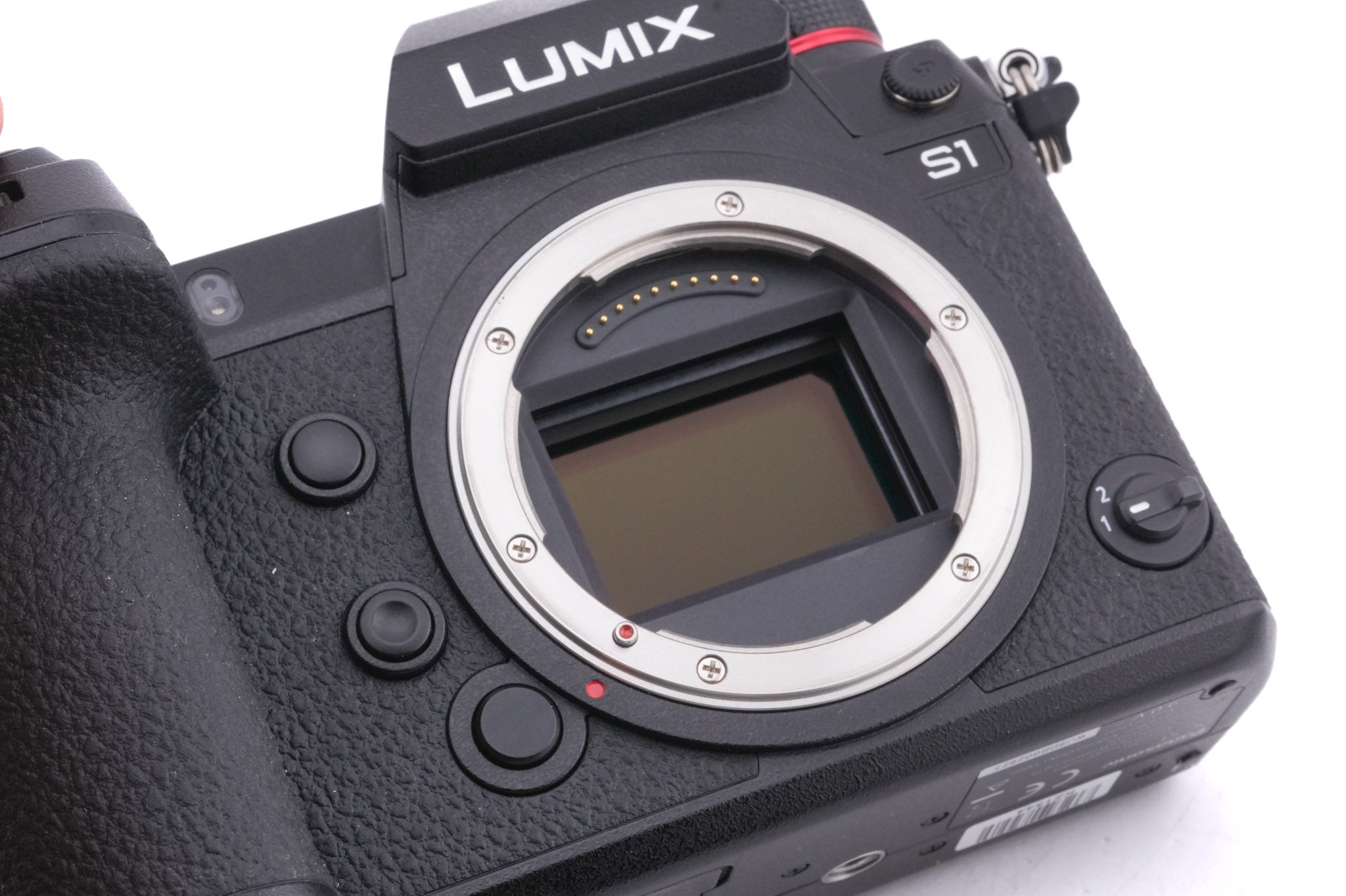 Panasonic Lumix DC-S1