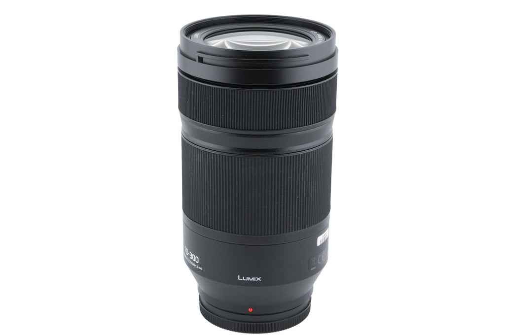 Panasonic 70-300mm f4.5-5.6 Lumix S Macro OIS